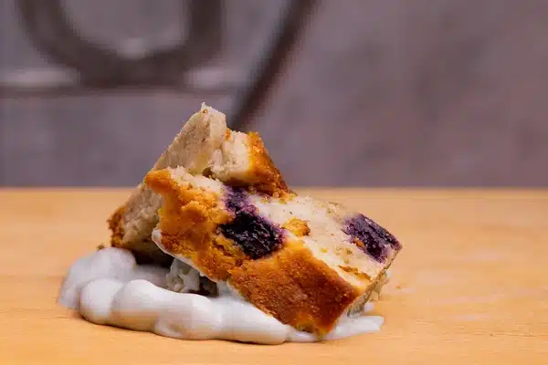 Bosbessencake